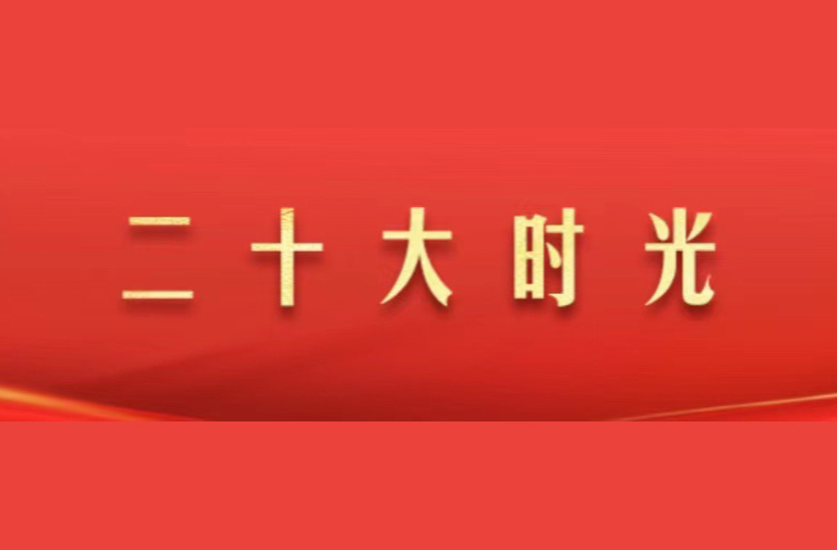 《二十大时光》专栏
