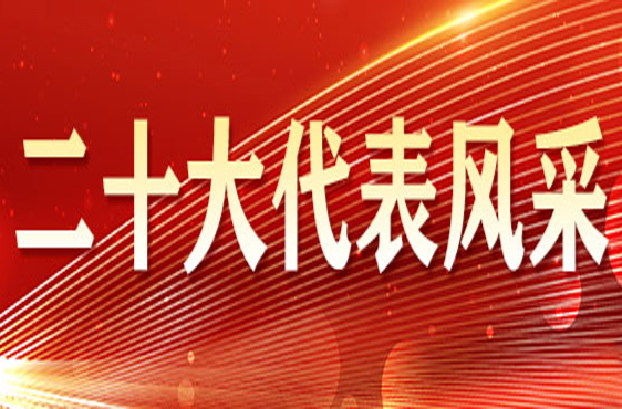 《二十大代表风采》专栏