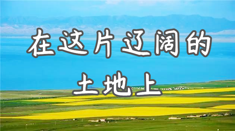在这片辽阔的土地上