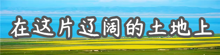 《在这片辽阔的土地上》专栏