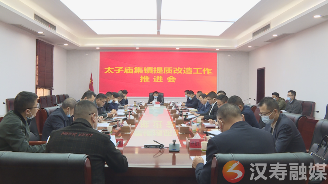 太子庙集镇提质改造工作推进会召开