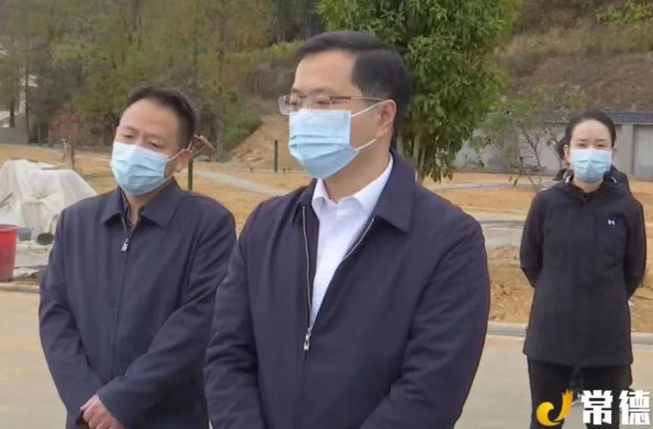 市领导到汉寿巡林
