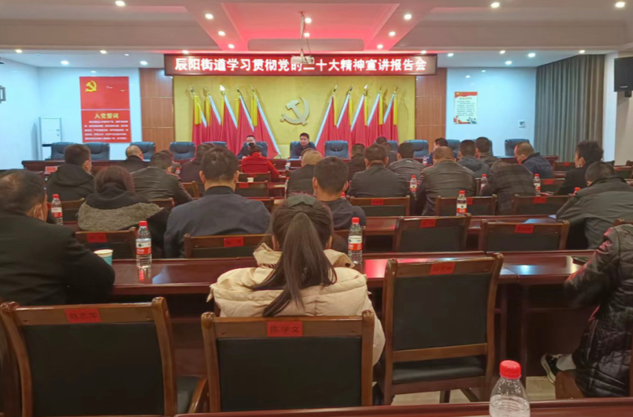 【深入学习贯彻落实党的二十大精神】辰阳街道召开学习贯彻党的二十大精神宣讲报告会