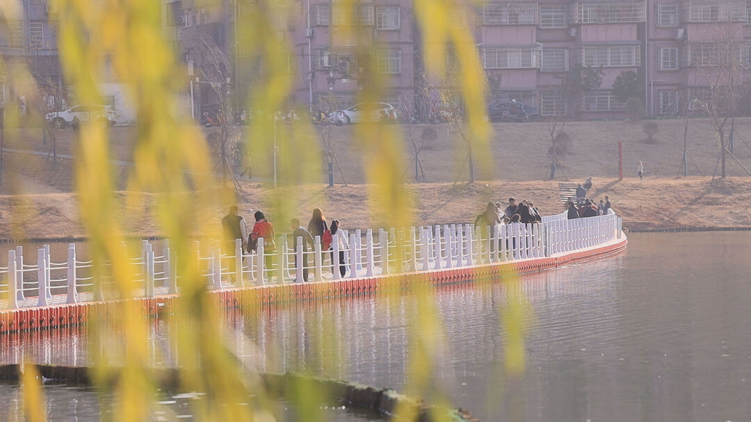 【双区牵引 六轮驱动 非凡2022】系列报道一：城市客厅再升级 家家住在公园中