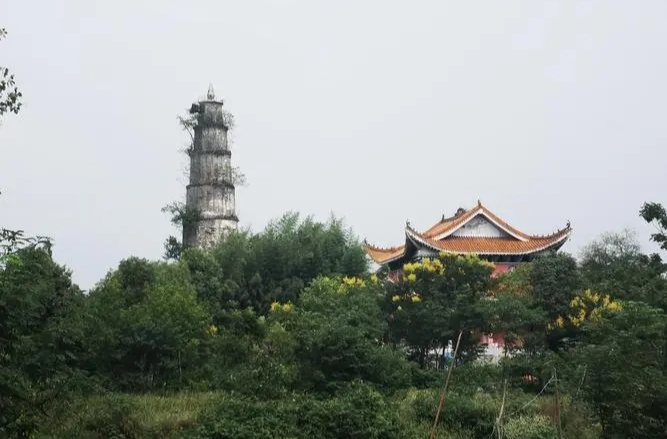 【养老孝老敬老】汉寿：水美人增寿 地灵人生福
