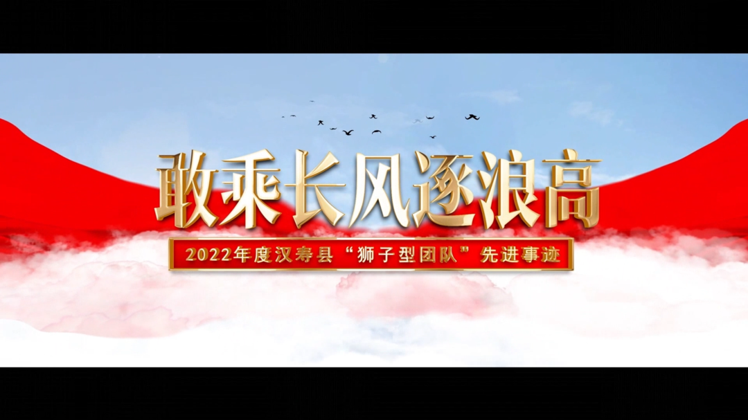 敢乘长风逐浪高——2022年度汉寿县“狮子型团队”先进事迹