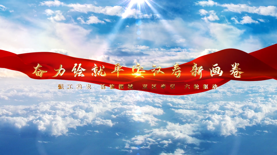 奋力绘就平安汉寿新画卷