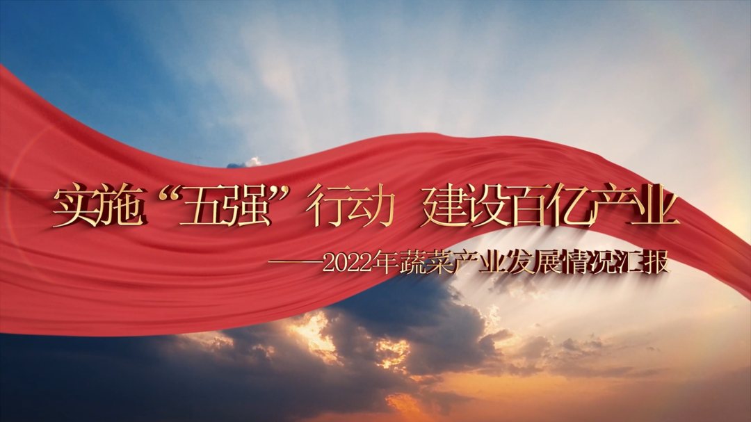 实施“五强”行动 建设百亿产业——2022年蔬菜产业发展情况汇报