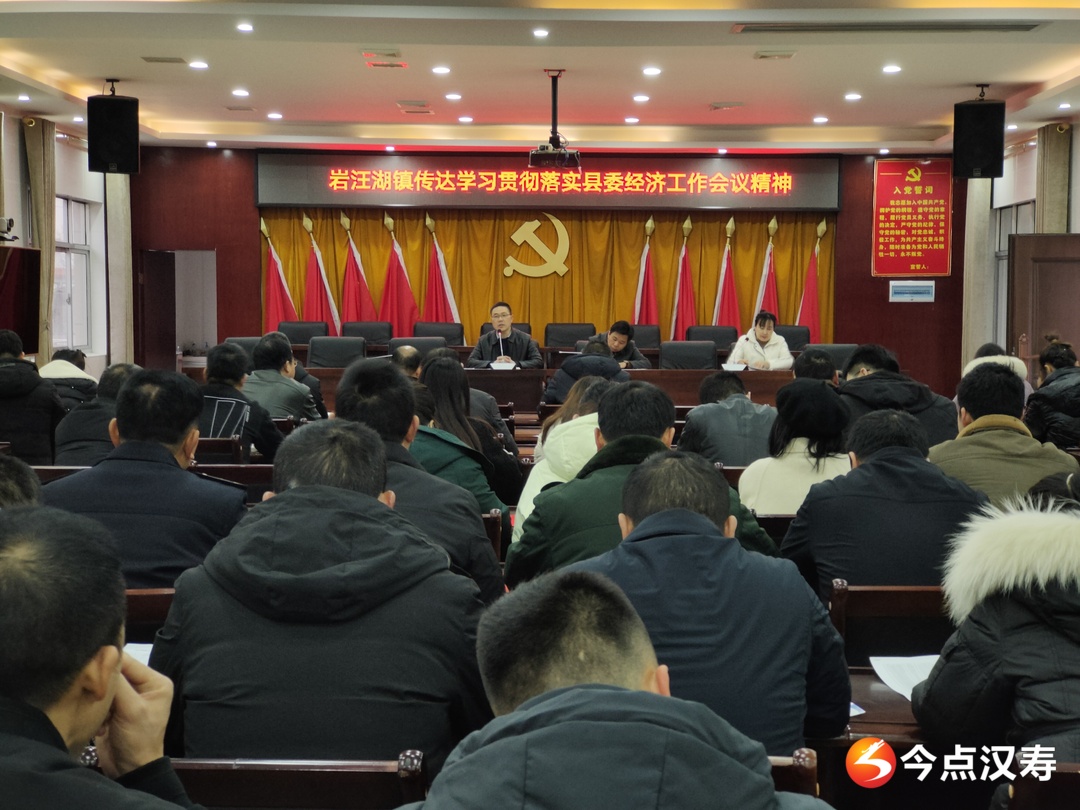 岩汪湖镇传达学习县委经济工作会议精神