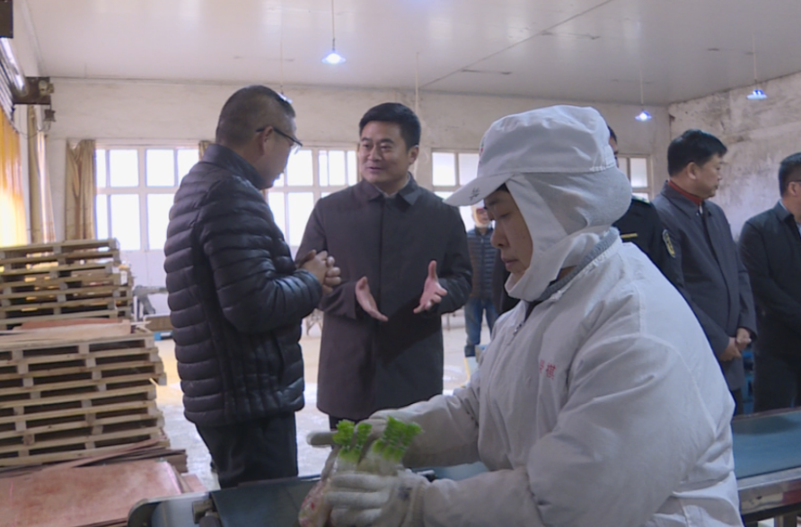 汉寿县领导督导检查企业安全生产工作