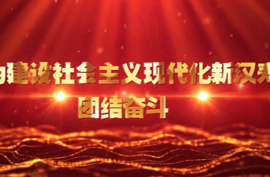 《亮承诺 勇担当 善作为——换挡提速推动汉寿高质量发展》之十六：县人大办、县妇联、县市政绿化事务中心