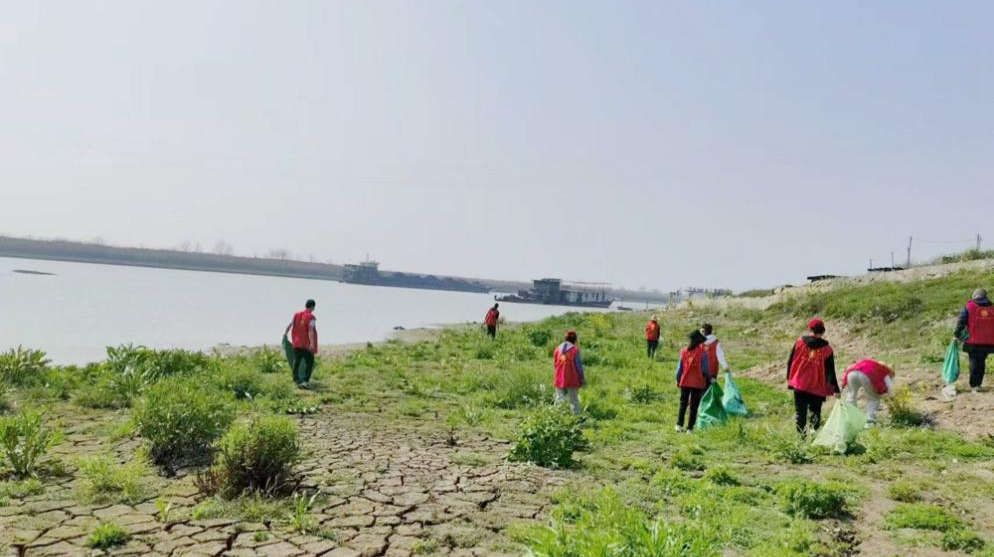 坡头镇开展“清河净滩”志愿服务活动