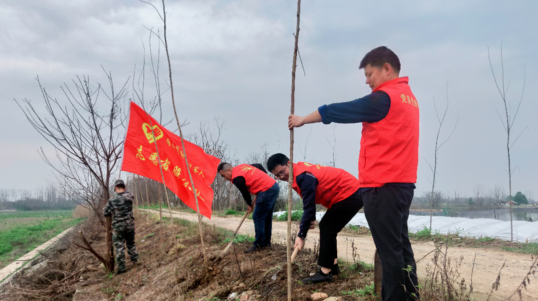 汉寿县580名退役军人积极参与义务植树活动