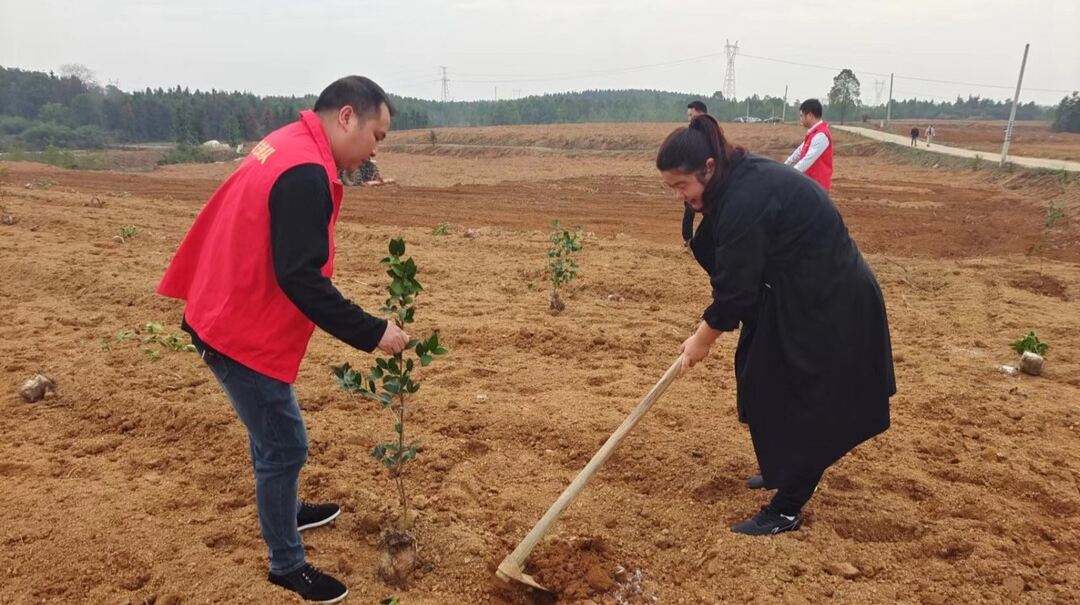 朱家铺镇开展学习雷锋义务植树活动