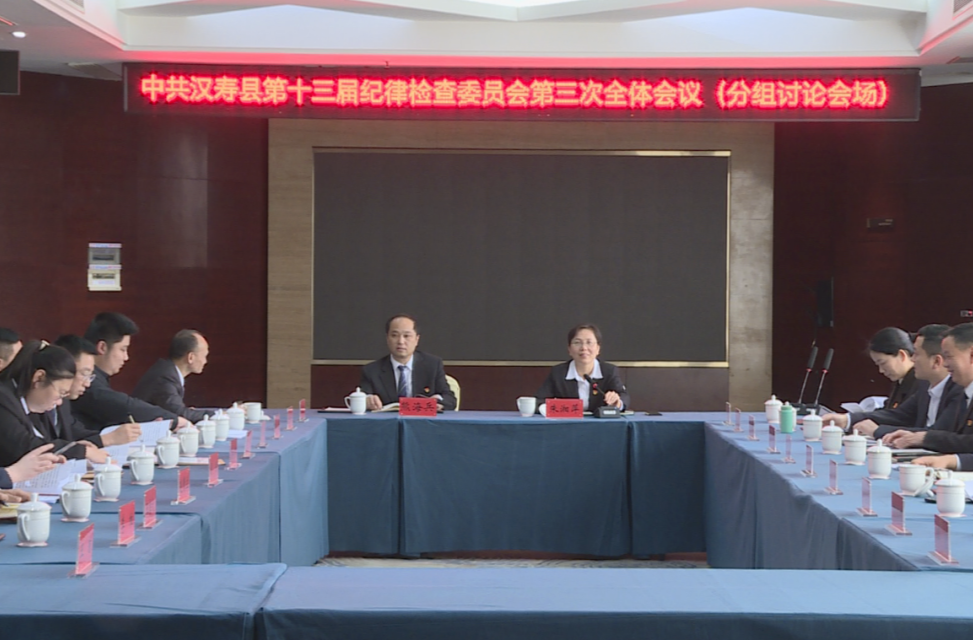 中共汉寿县第十三届纪委第三次全体会议举行分组讨论
