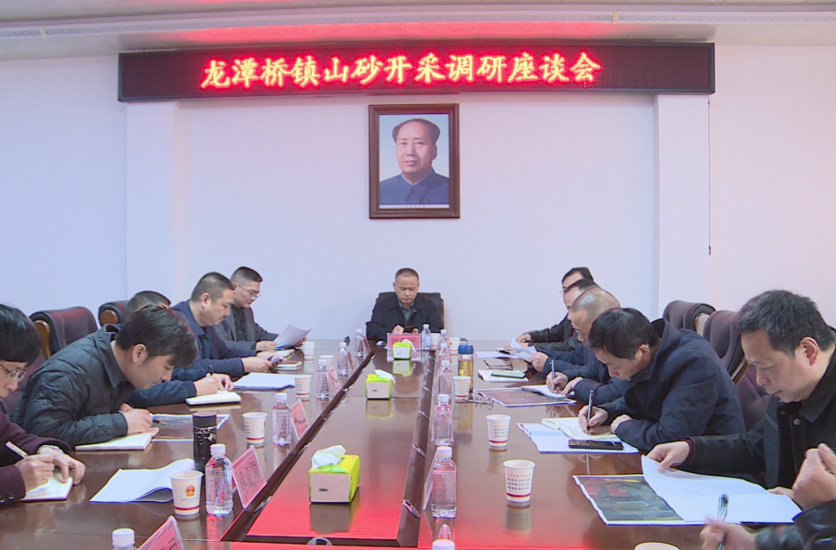 汉寿县领导调研龙潭桥镇山砂开采工作