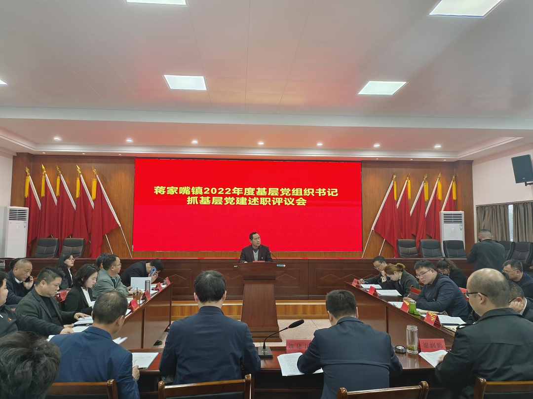 蒋家嘴镇召开2022年度基层党组织书记抓基层党建述职评议会