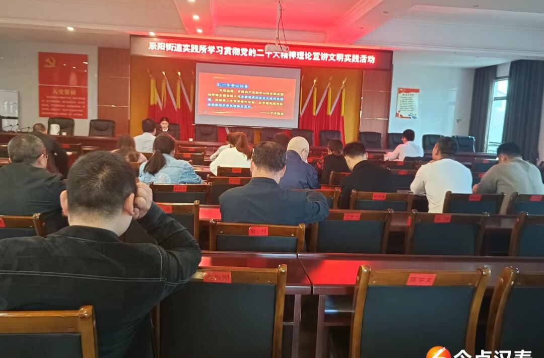 汉寿县辰阳街道开展党的二十大精神理论宣讲活动