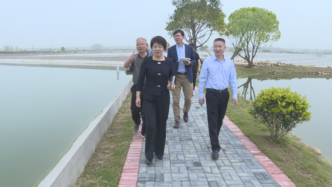 农业农村部市场与信息化司相关负责人来汉寿调研