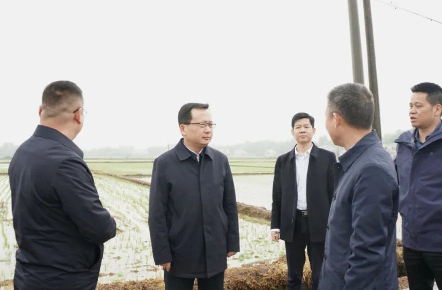 王时雨调研春耕生产和耕地图斑整改工作