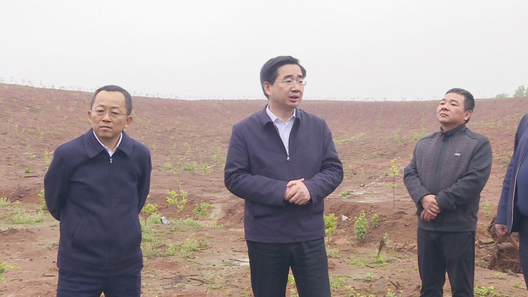 湖南省林业局来汉寿调研油茶基地工作