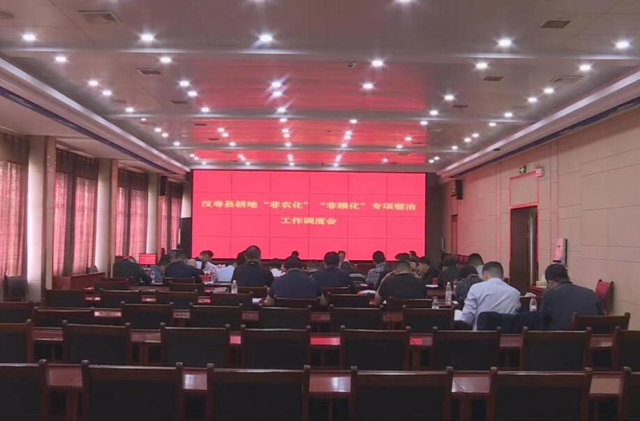 汉寿县耕地“非农化”“非粮化”专项整治工作调度会召开