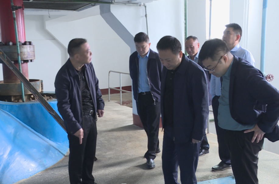 汉寿县领导检查西湖垸一线防汛备汛工作
