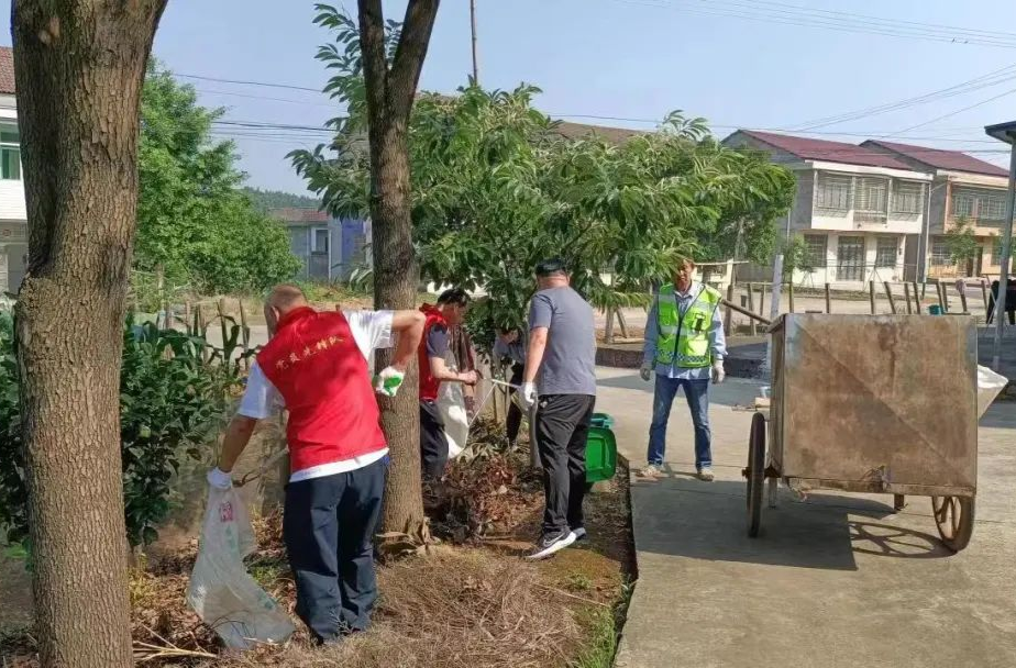 龙潭桥镇开展清洁家园 美化环境集中整治行动