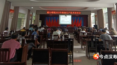 汉寿县罐头嘴镇开展粮食生产技术培训