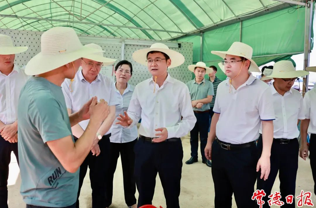 曹志强在汉寿县调研时强调：扛稳粮食安全重任 守住耕地保护红线