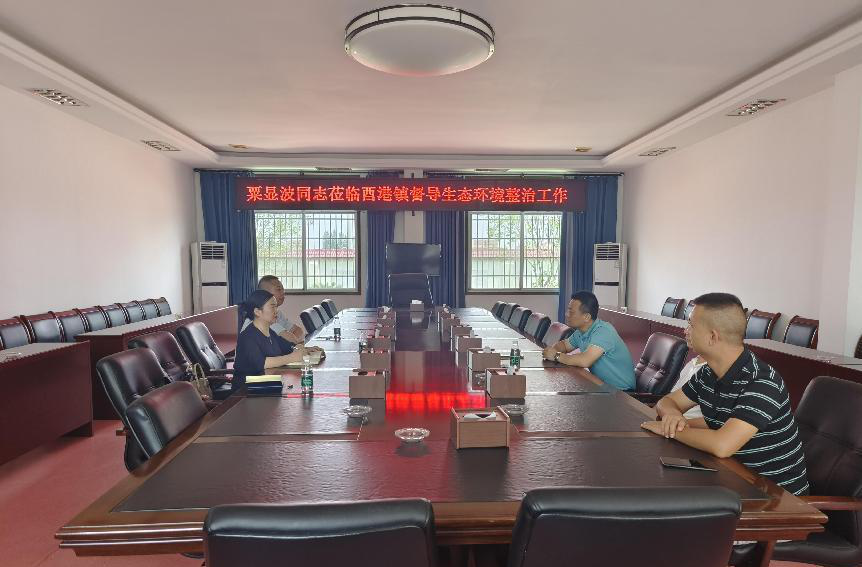 【打好安全生产巩固提升仗】汉寿县政协领导开展改善生态环境专项民主监督工作