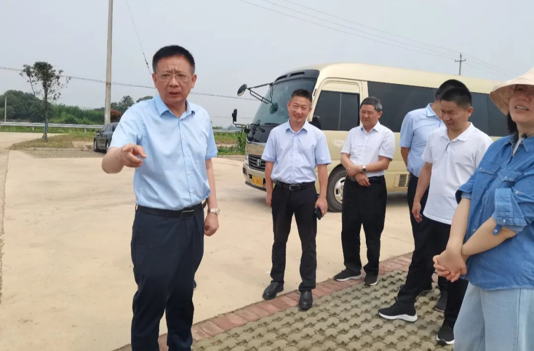 常德市政府领导来汉寿调研粮食生产工作
