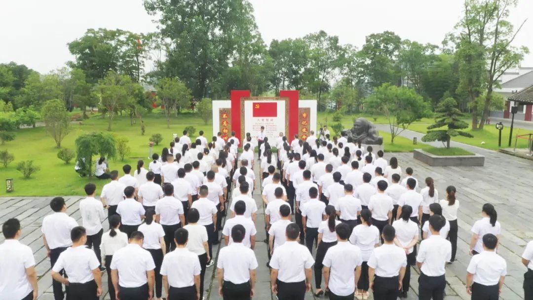 铮铮誓言 拳拳红心——汉寿县举行2023年预备党员集中宣誓活动