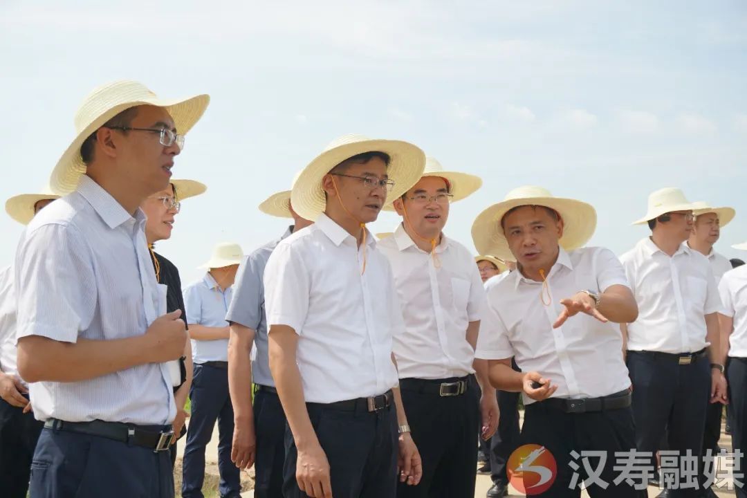 曹志强：扛牢粮食大市责任 坚决完成全年粮食生产任务