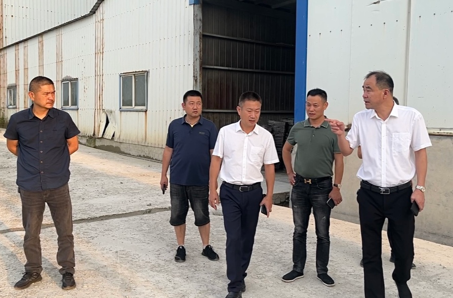 【第二轮湖南省生态环境保护例行督察】汉寿县领导调研环境保护工作