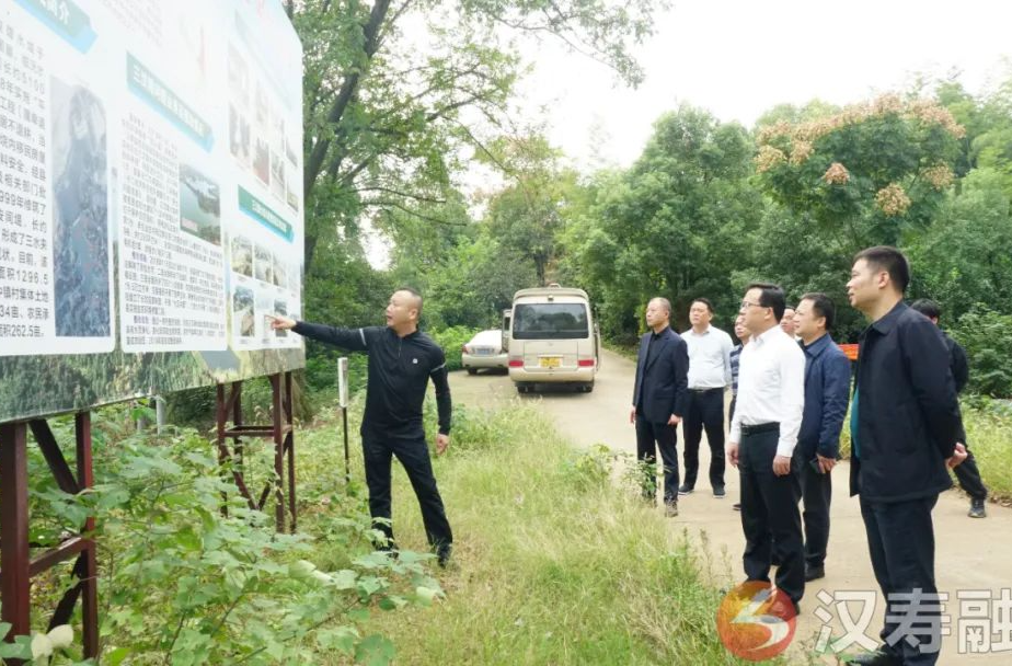 王时雨调研蒋家嘴镇相关工作