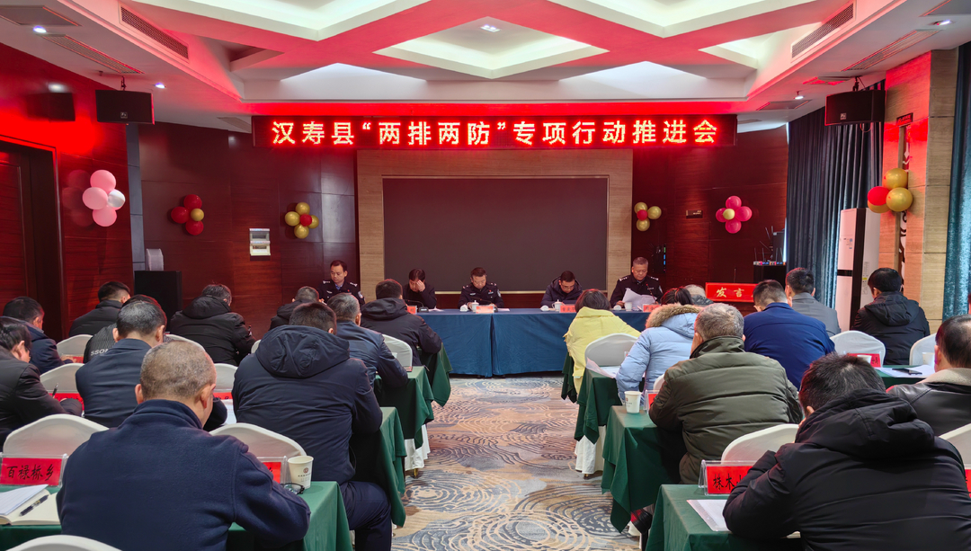 汉寿县“两排两防”专项行动推进会召开