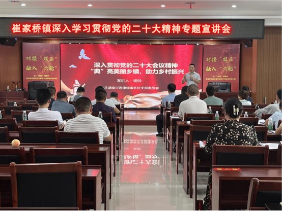 汉寿县崔家桥镇：深入学习党的二十大精神，让法律走进基层党组织