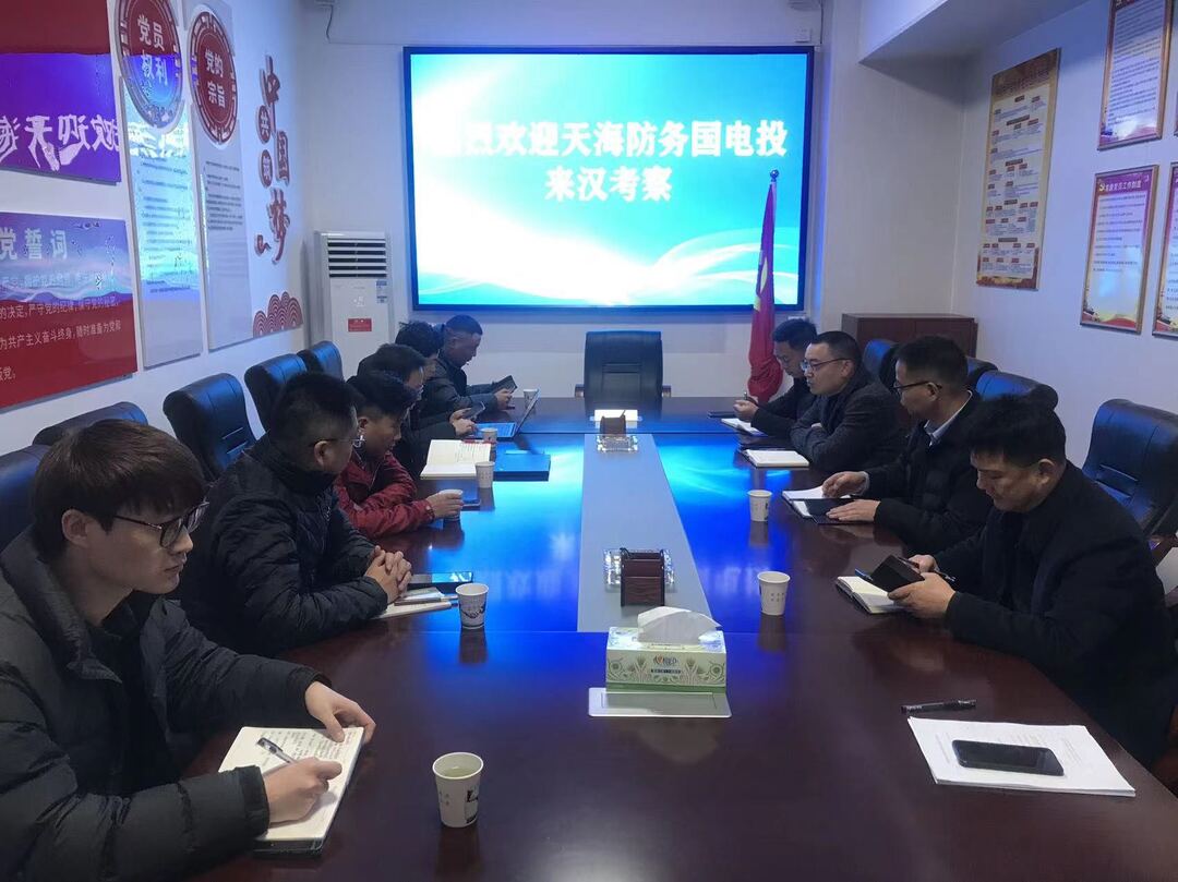 天海防务能源事业部和国家电力投资集团考察团来汉寿考察新能源散货船项目