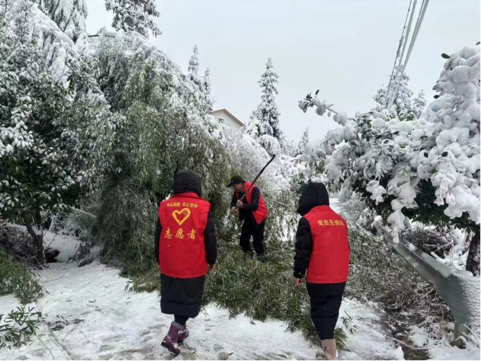 汉寿县丰家铺镇开展扫雪保畅活动