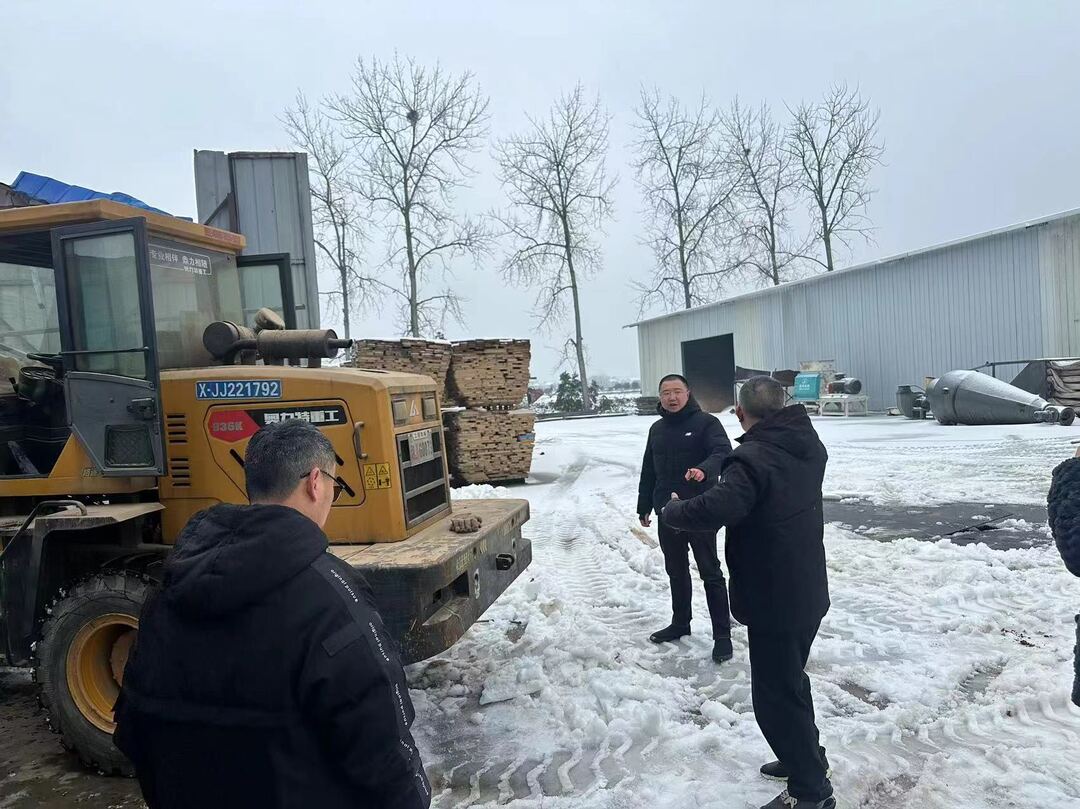 【抗击冰雪一线】迎寒而上，共战冰雪——汉寿县洋淘湖镇全力做好低温雨雪冰冻灾害防范应对工作