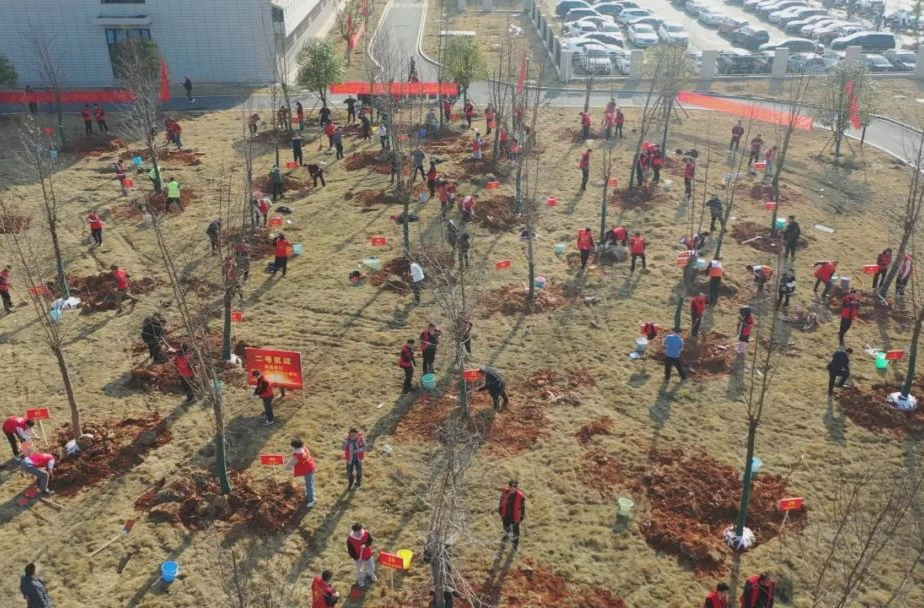汉寿县举行第46个植树节暨第二届“我在汉寿有棵树”认养认种活动