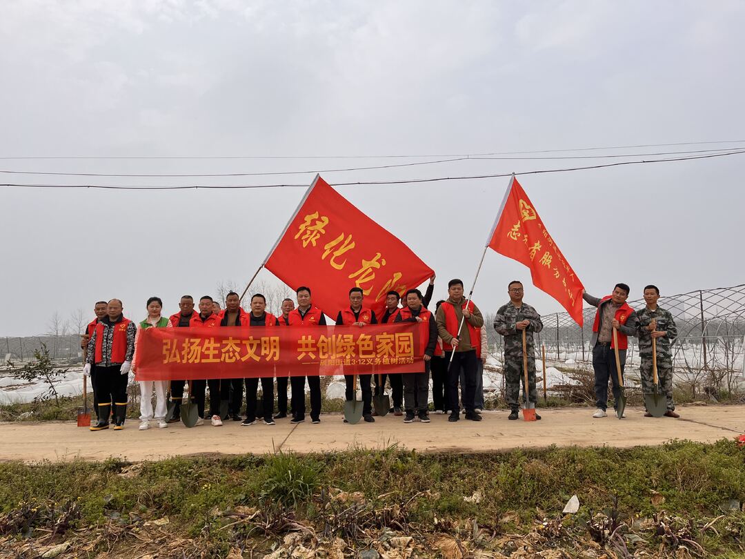 汉寿县辰阳街道开展“弘扬生态文明，共创绿色家园”义务植树活动