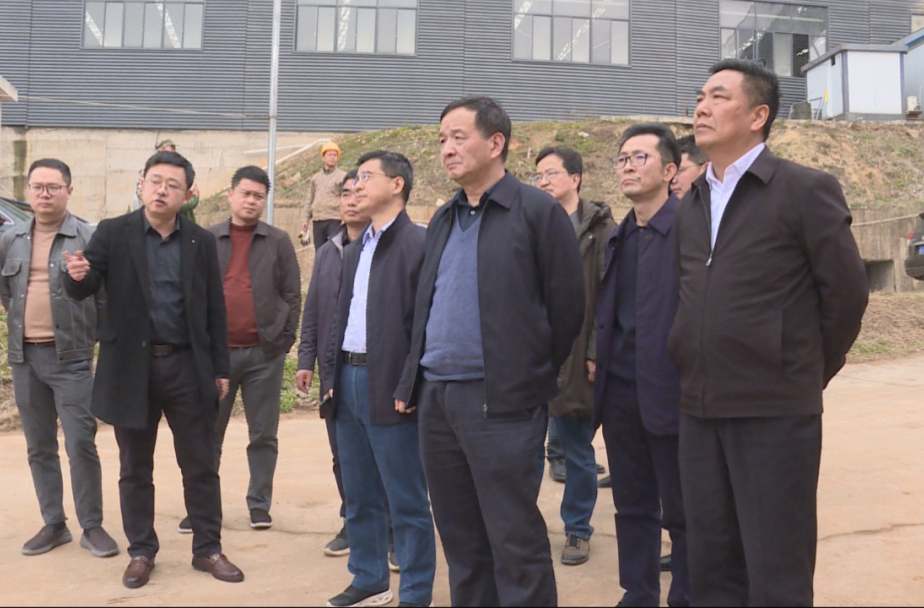 湖南省防指第四督查组来汉寿督查汛前准备和地质灾害汛前排查工作
