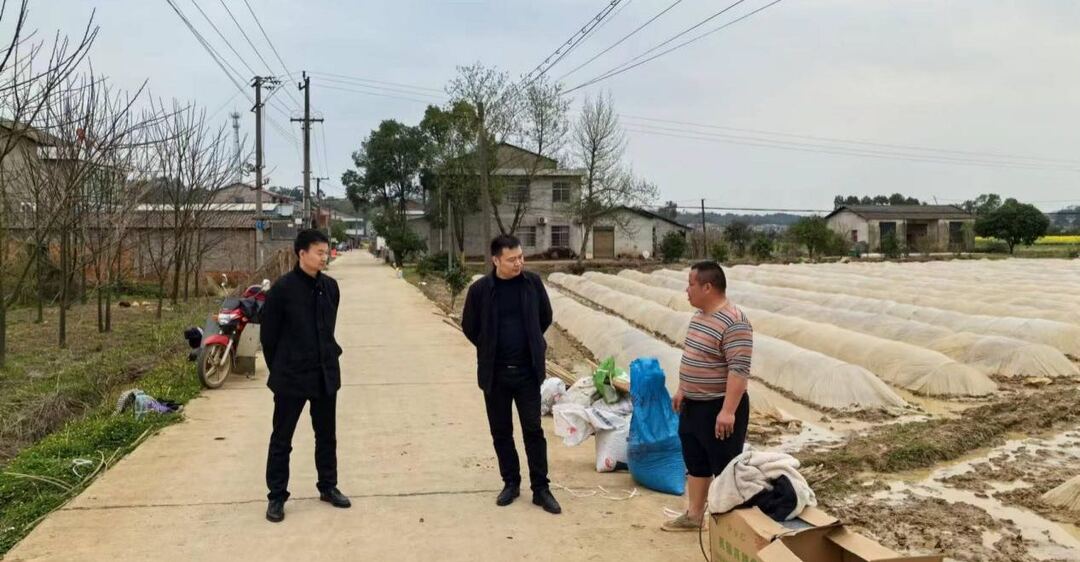 汉寿县蒋家嘴镇：天地启春色，万物共“耕”新