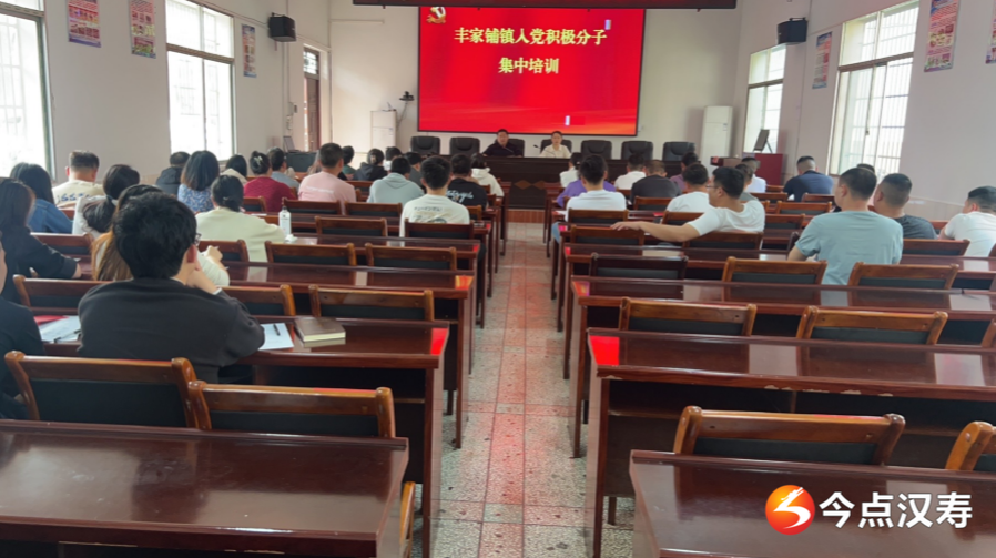 汉寿县丰家铺镇召开入党积极分子培训会