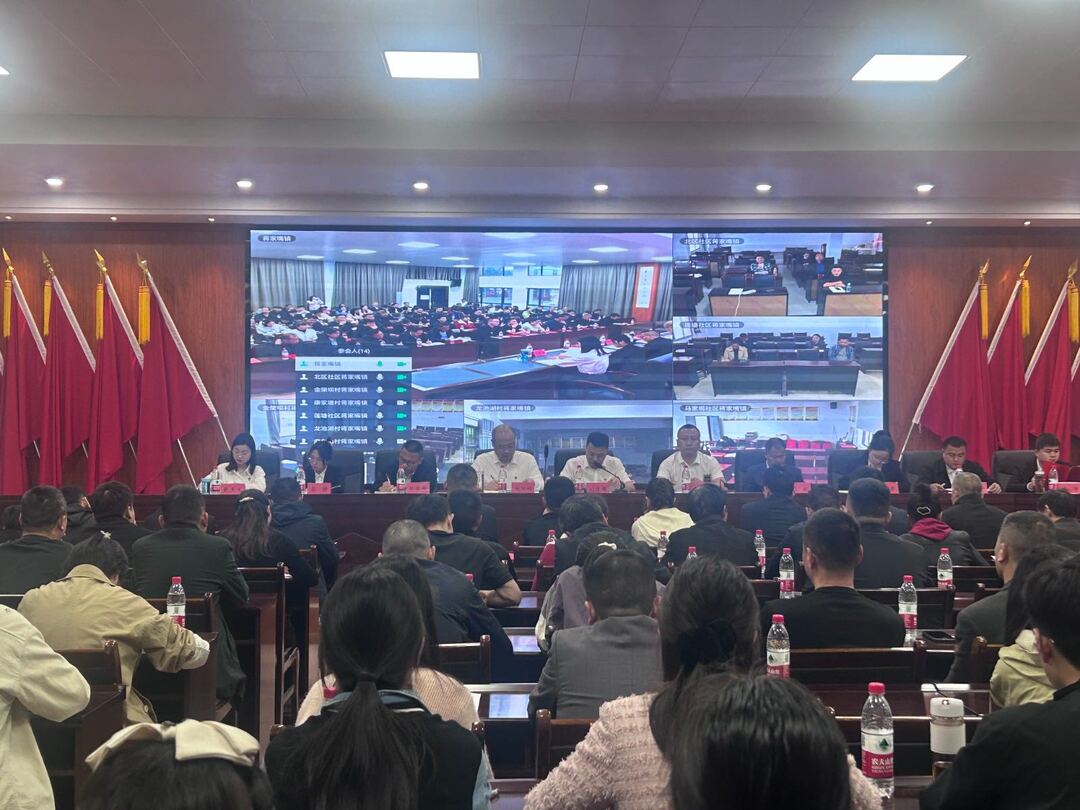 汉寿县蒋家嘴镇召开2024年经济工作会议