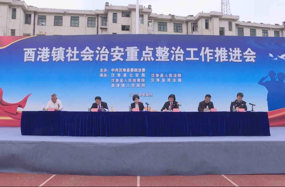 汉寿县酉港镇社会治安重点整治工作推进会召开