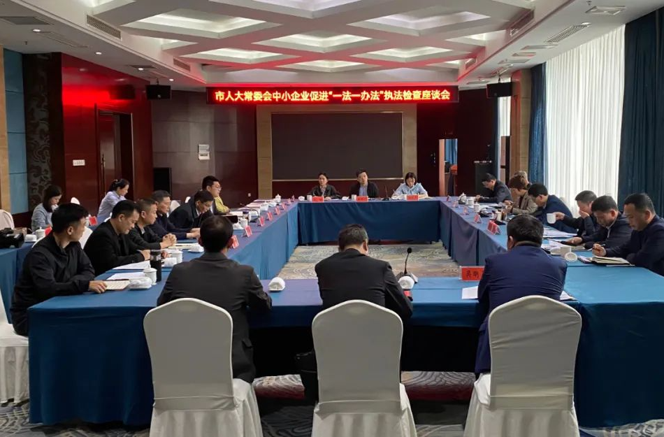 常德市人大常委会领导来汉寿开展中小企业促进“一法一办法”执法检查