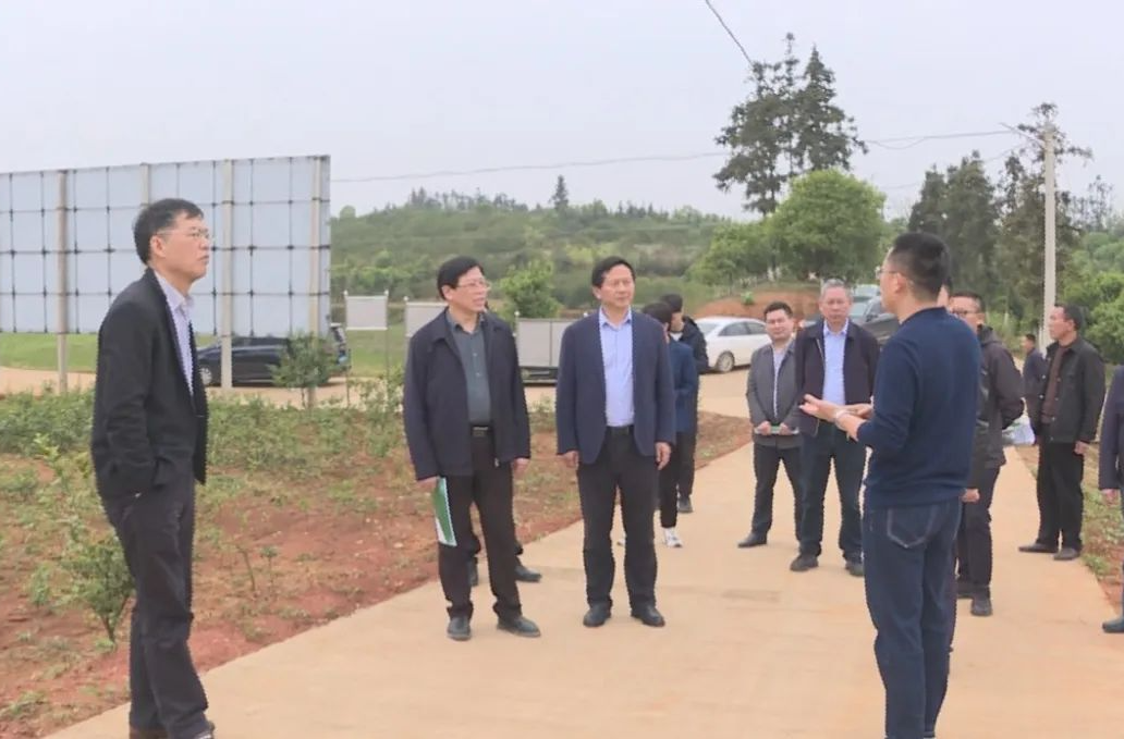 湖南省委政研室调研组来汉寿调研林下经济工作